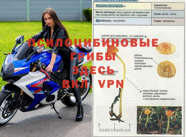 а пвп мука Слюдянка