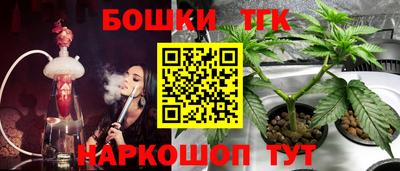 МДПВ Мариинск