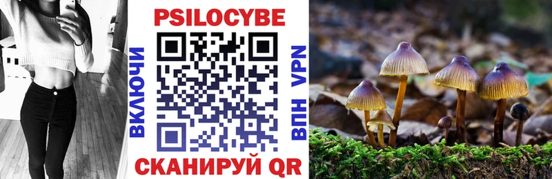 наркотики  Ефремов  Галлюциногенные грибы GOLDEN TEACHER 