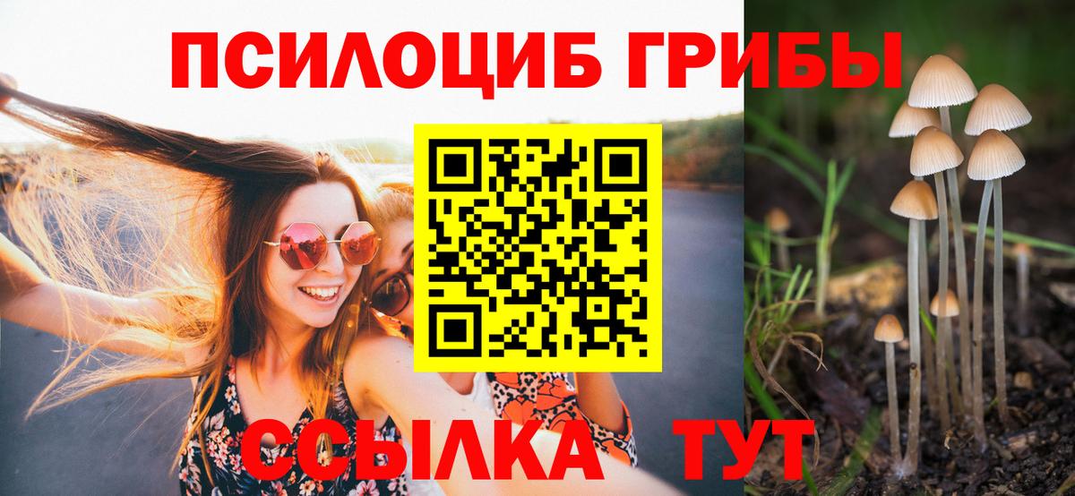 Псилоцибиновые грибы Magic Shrooms Ефремов