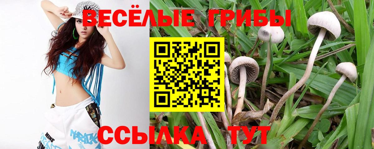Галлюциногенные грибы Magic Shrooms  Вход с VPN  Ефремов 